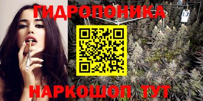 Альфа ПВП Чебоксары
